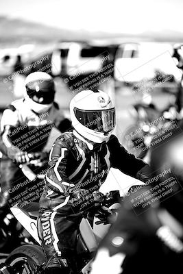 media/Mar-25-2024-Moto Forza (Mon) [[8d4319bd68]]/1-Around the Pits/